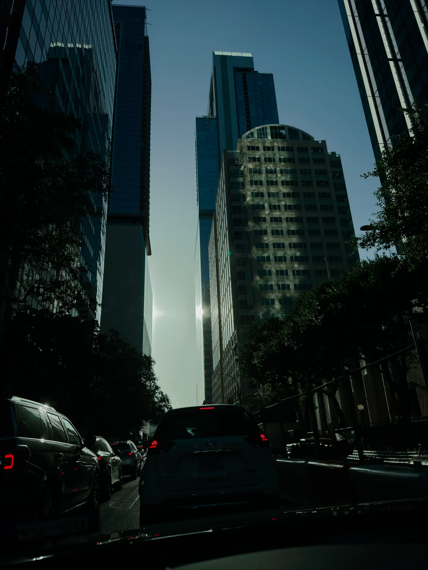 Austin city traffic viewed from inside a Hansom vehicle
